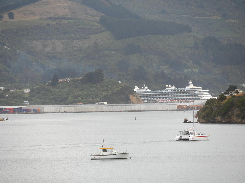 Portobello Otago Peninsula Motel المظهر الخارجي الصورة