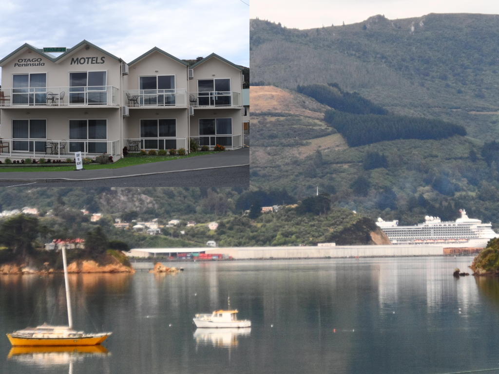 Portobello Otago Peninsula Motel المظهر الخارجي الصورة